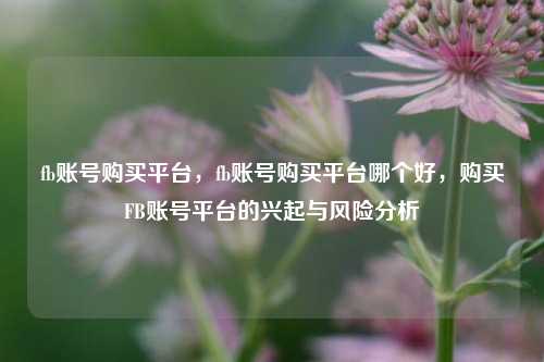 fb账号购买平台，fb账号购买平台哪个好，购买FB账号平台的兴起与风险分析