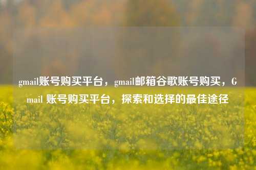 gmail账号购买平台，gmail邮箱谷歌账号购买，Gmail 账号购买平台，探索和选择的最佳途径