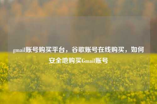 gmail账号购买平台，谷歌账号在线购买，如何安全地购买Gmail账号