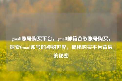 gmail账号购买平台，gmail邮箱谷歌账号购买，探索Gmail账号的神秘世界，揭秘购买平台背后的秘密