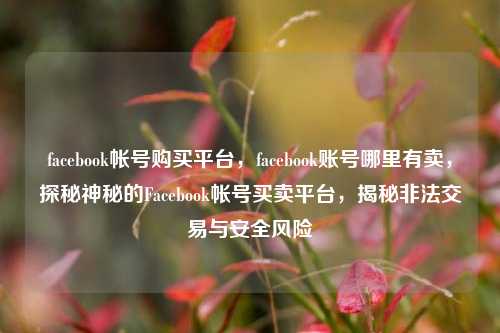 facebook帐号购买平台，facebook账号哪里有卖，探秘神秘的Facebook帐号买卖平台，揭秘非法交易与安全风险