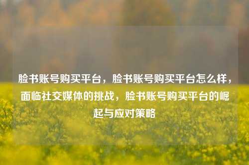 脸书账号购买平台，脸书账号购买平台怎么样，面临社交媒体的挑战，脸书账号购买平台的崛起与应对策略