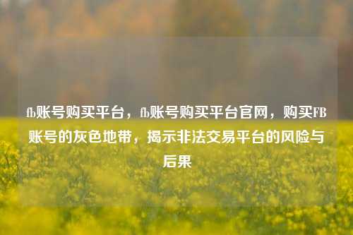 fb账号购买平台，fb账号购买平台官网，购买FB账号的灰色地带，揭示非法交易平台的风险与后果