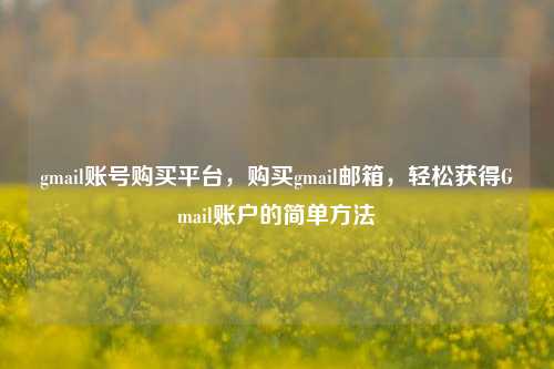 gmail账号购买平台，购买gmail邮箱，轻松获得Gmail账户的简单方法
