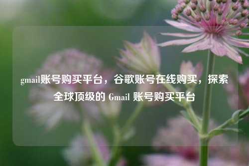 gmail账号购买平台，谷歌账号在线购买，探索全球顶级的 Gmail 账号购买平台