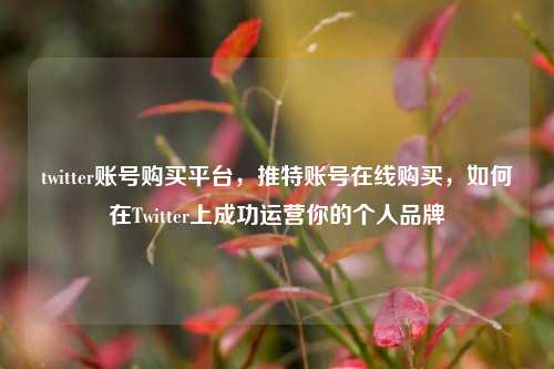 twitter账号购买平台，推特账号在线购买，如何在Twitter上成功运营你的个人品牌