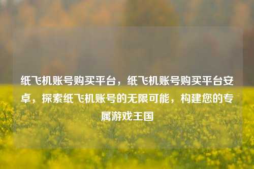 纸飞机账号购买平台，纸飞机账号购买平台安卓，探索纸飞机账号的无限可能，构建您的专属游戏王国