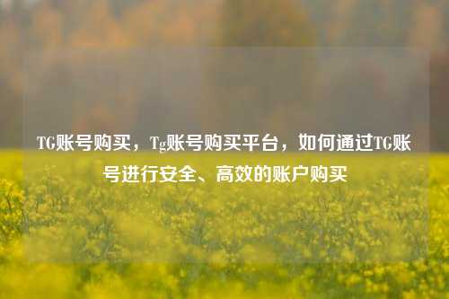 TG账号购买，Tg账号购买平台，如何通过TG账号进行安全、高效的账户购买