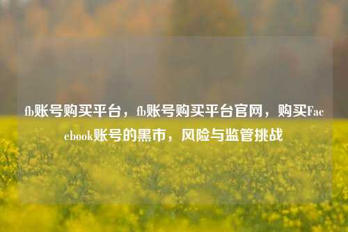 fb账号购买平台，fb账号购买平台官网，购买Facebook账号的黑市，风险与监管挑战