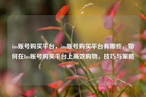 ins账号购买平台，ins账号购买平台有哪些，如何在Ins账号购买平台上高效购物，技巧与策略