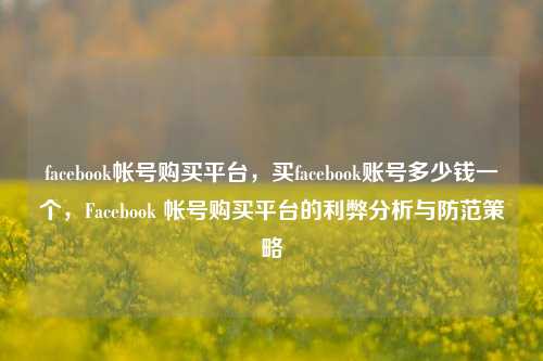 facebook帐号购买平台，买facebook账号多少钱一个，Facebook 帐号购买平台的利弊分析与防范策略