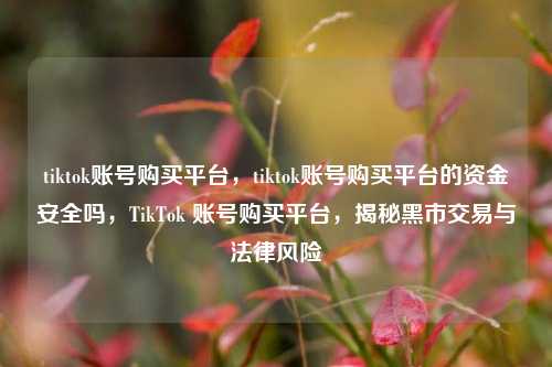 tiktok账号购买平台，tiktok账号购买平台的资金安全吗，TikTok 账号购买平台，揭秘黑市交易与法律风险