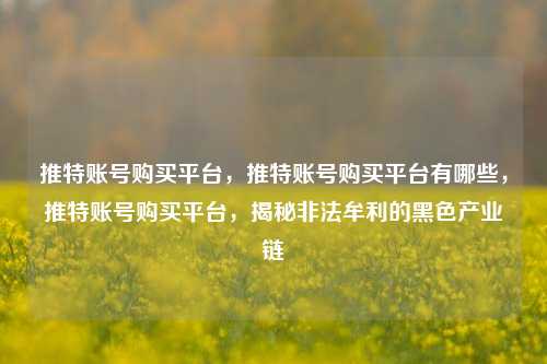 推特账号购买平台，推特账号购买平台有哪些，推特账号购买平台，揭秘非法牟利的黑色产业链
