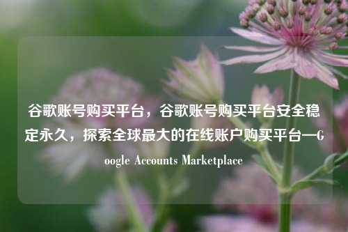 谷歌账号购买平台，谷歌账号购买平台安全稳定永久，探索全球最大的在线账户购买平台—Google Accounts Marketplace