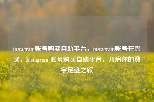 instagram账号购买自助平台，instagram账号在哪买，Instagram 账号购买自助平台，开启你的数字足迹之旅