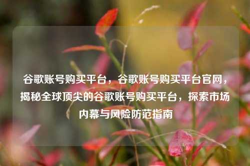 谷歌账号购买平台，谷歌账号购买平台官网，揭秘全球顶尖的谷歌账号购买平台，探索市场内幕与风险防范指南