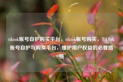 tiktok账号自护购买平台，tiktok帐号购买，TikTok账号自护与购买平台，维护用户权益的必要措施