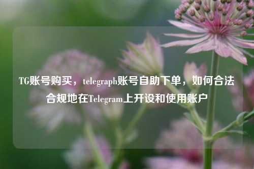 TG账号购买	，telegraph账号自助下单，如何合法合规地在Telegram上开设和使用账户  第1张