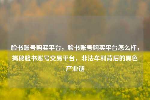 脸书账号购买平台，脸书账号购买平台怎么样，揭秘脸书账号交易平台，非法牟利背后的黑色产业链