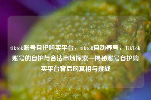 tiktok账号自护购买平台，tiktok自动养号，TikTok账号的自护与合法市场探索—揭秘账号自护购买平台背后的真相与挑战