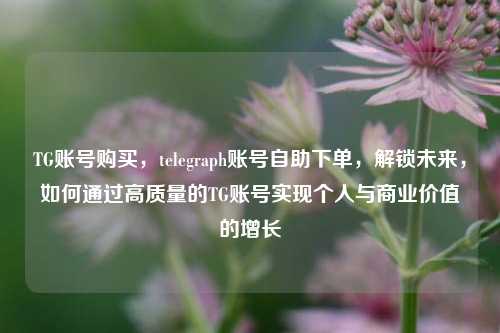 TG账号购买，telegraph账号自助下单，解锁未来，如何通过高质量的TG账号实现个人与商业价值的增长