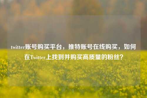 twitter账号购买平台，推特账号在线购买，如何在Twitter上找到并购买高质量的粉丝？