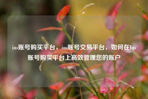 ins账号购买平台，ins账号交易平台，如何在Ins账号购买平台上高效管理您的账户