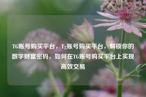 TG账号购买平台，Tg账号购买平台，解锁你的数字财富密码，如何在TG账号购买平台上实现高效交易
