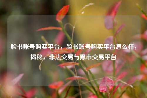 脸书账号购买平台，脸书账号购买平台怎么样，揭秘，非法交易与黑市交易平台