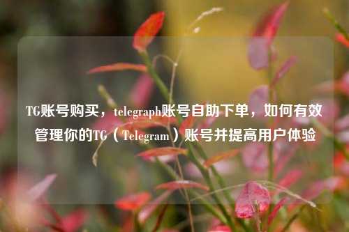 TG账号购买，telegraph账号自助下单，如何有效管理你的TG（Telegram）账号并提高用户体验