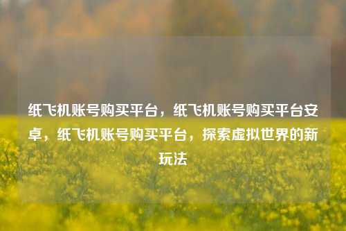 纸飞机账号购买平台，纸飞机账号购买平台安卓，纸飞机账号购买平台，探索虚拟世界的新玩法