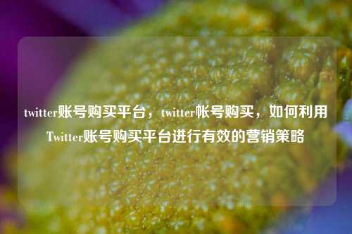 twitter账号购买平台，twitter帐号购买，如何利用Twitter账号购买平台进行有效的营销策略