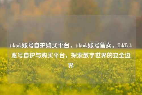 tiktok账号自护购买平台，tiktok账号售卖，TikTok账号自护与购买平台，探索数字世界的安全边界