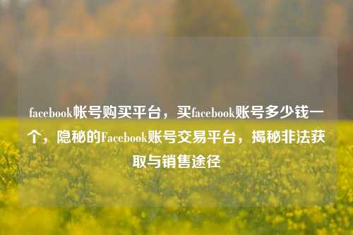 facebook帐号购买平台，买facebook账号多少钱一个，隐秘的Facebook账号交易平台，揭秘非法获取与销售途径