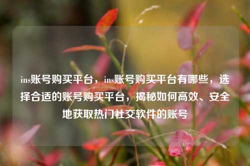 ins账号购买平台，ins账号购买平台有哪些，选择合适的账号购买平台，揭秘如何高效、安全地获取热门社交软件的账号
