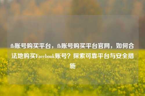 fb账号购买平台，fb账号购买平台官网，如何合法地购买Facebook账号？探索可靠平台与安全措施