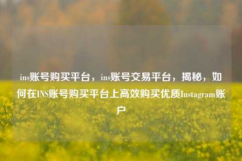 ins账号购买平台，ins账号交易平台，揭秘，如何在INS账号购买平台上高效购买优质Instagram账户