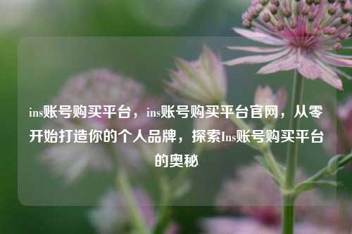 ins账号购买平台，ins账号购买平台官网，从零开始打造你的个人品牌，探索Ins账号购买平台的奥秘