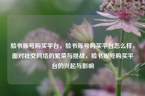 脸书账号购买平台，脸书账号购买平台怎么样，面对社交网络的繁荣与挑战，脸书账号购买平台的兴起与影响