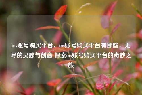 ins账号购买平台，ins账号购买平台有哪些，无尽的灵感与创意 探索ins账号购买平台的奇妙之旅