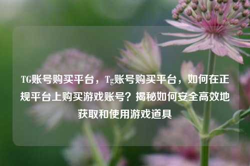 TG账号购买平台，Tg账号购买平台，如何在正规平台上购买游戏账号？揭秘如何安全高效地获取和使用游戏道具