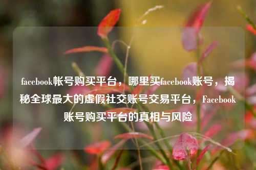 facebook帐号购买平台，哪里买facebook账号，揭秘全球最大的虚假社交账号交易平台，Facebook账号购买平台的真相与风险