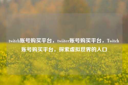 twitch账号购买平台，twiiter账号购买平台，Twitch账号购买平台，探索虚拟世界的入口