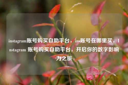 instagram账号购买自助平台，ins账号在哪里买，Instagram 账号购买自助平台，开启你的数字影响力之旅