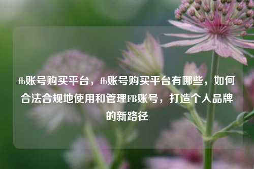 fb账号购买平台，fb账号购买平台有哪些，如何合法合规地使用和管理FB账号，打造个人品牌的新路径