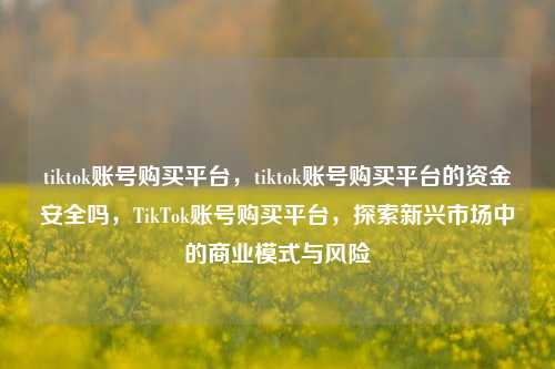 tiktok账号购买平台，tiktok账号购买平台的资金安全吗，TikTok账号购买平台，探索新兴市场中的商业模式与风险