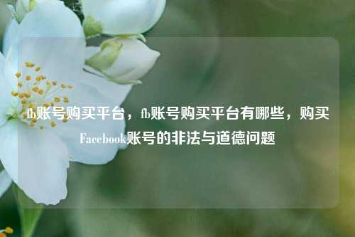 fb账号购买平台，fb账号购买平台有哪些，购买Facebook账号的非法与道德问题
