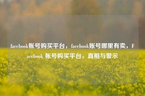 facebook帐号购买平台，facebook账号哪里有卖，Facebook 帐号购买平台，真相与警示
