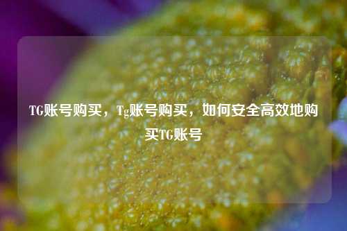 TG账号购买，Tg账号购买，如何安全高效地购买TG账号