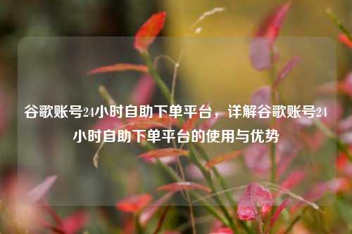 谷歌账号24小时自助下单平台	，详解谷歌账号24小时自助下单平台的使用与优势  第1张